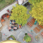 Vereinsausflug-2025IMG_5455