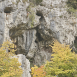 Vereinsausflug-2025_MG_5787