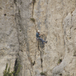 Vereinsausflug-2025_MG_5879