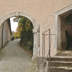 Vereinsausflug-2025_MG_5919