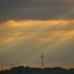 Vereinsausflug-2025IMG_5986