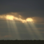 Vereinsausflug-2025IMG_5998